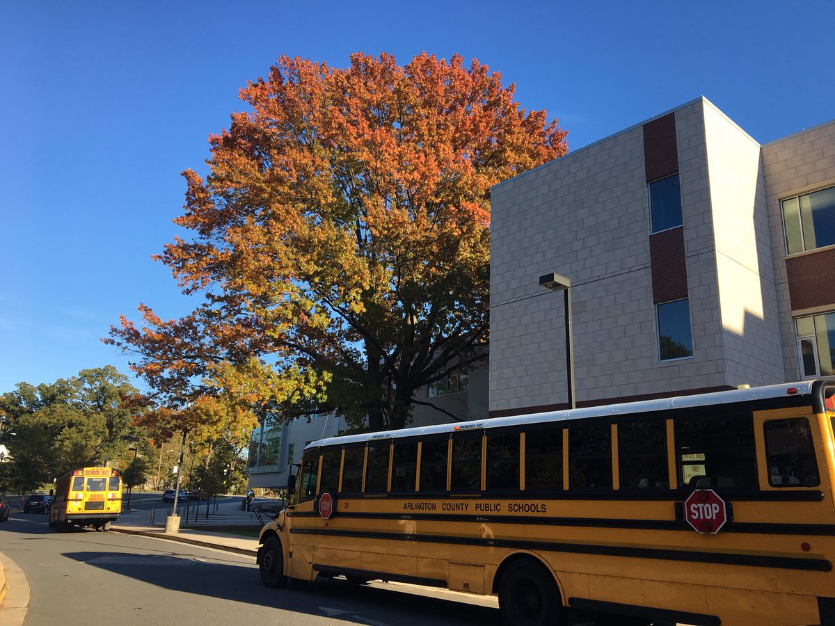 Fall leave changing color at Yorktown High School.