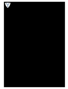 Student insight Sheet PDF